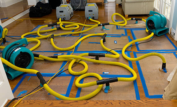 Professional Crawl Space Water Removal technician working in West Point, NE
